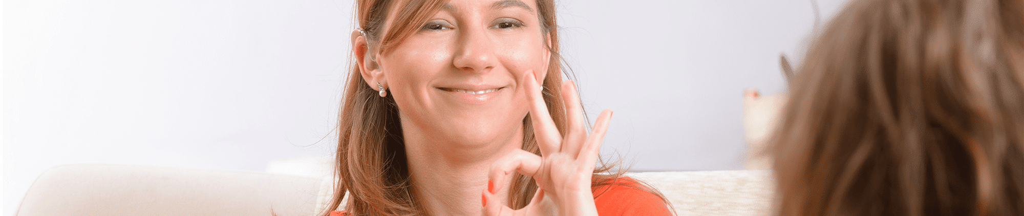 Disability Awareness - Intro Screen Reader Auslan-interpreting